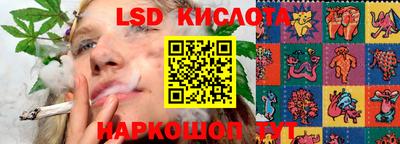 spice Малоярославец