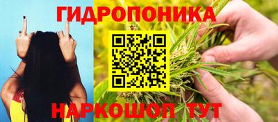 прущие крисы Мариинск