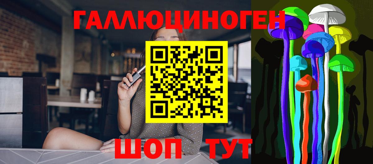 Курск  Псилоцибиновые грибы прущие грибы  Вход с VPN 